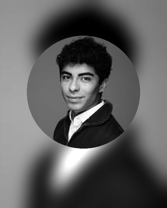 Vinicius Areb